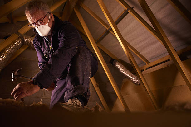 Best Insulation for New Construction  in Porterdale, GA